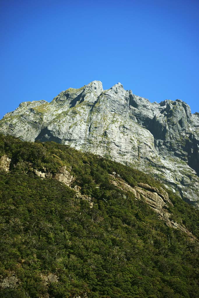 photo,material,free,landscape,picture,stock photo,Creative Commons,Milford Sound, , , , 