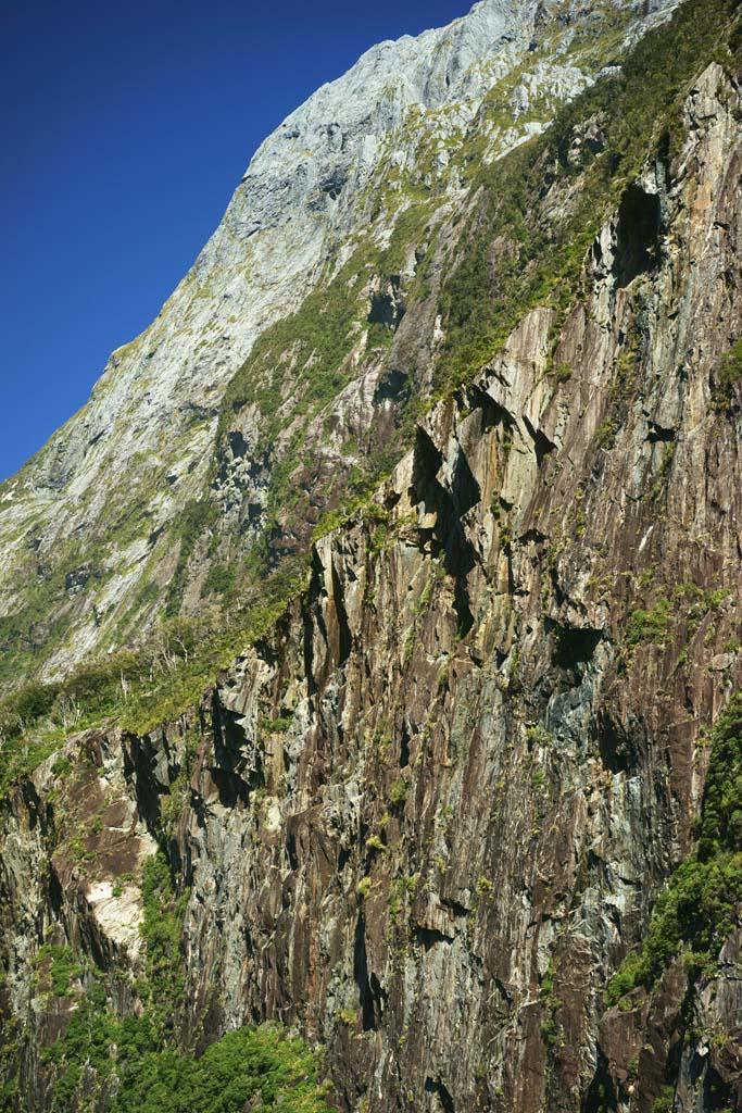 Foto, materieel, vrij, landschap, schilderstuk, bevoorraden foto,Milford Sound, , , , 