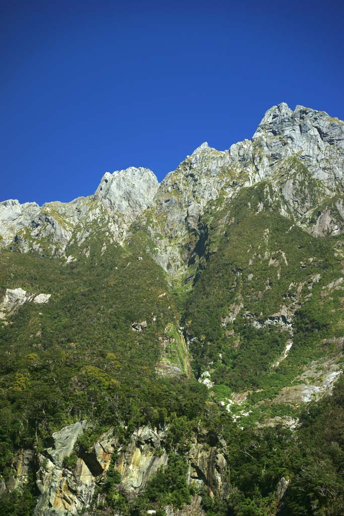 Foto, materiell, befreit, Landschaft, Bild, hat Foto auf Lager,Milford Sound, , , , 