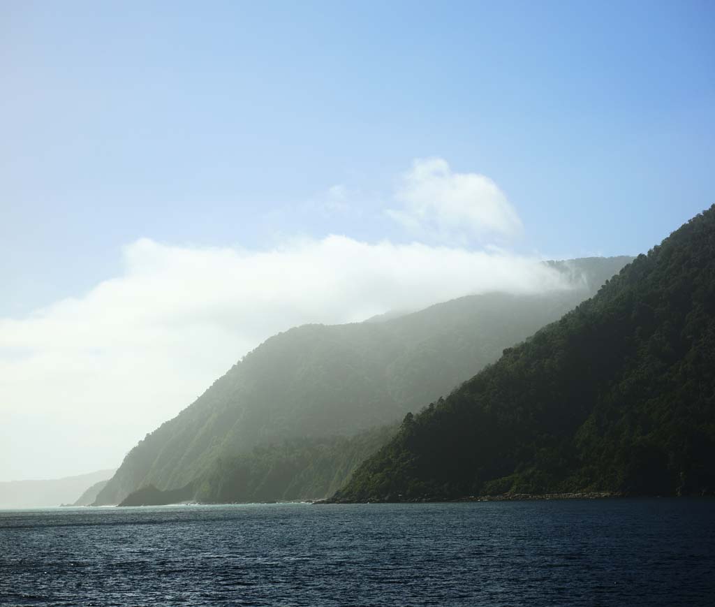 foto,tela,gratis,paisaje,fotografa,idea,Milford Sound, , , , 