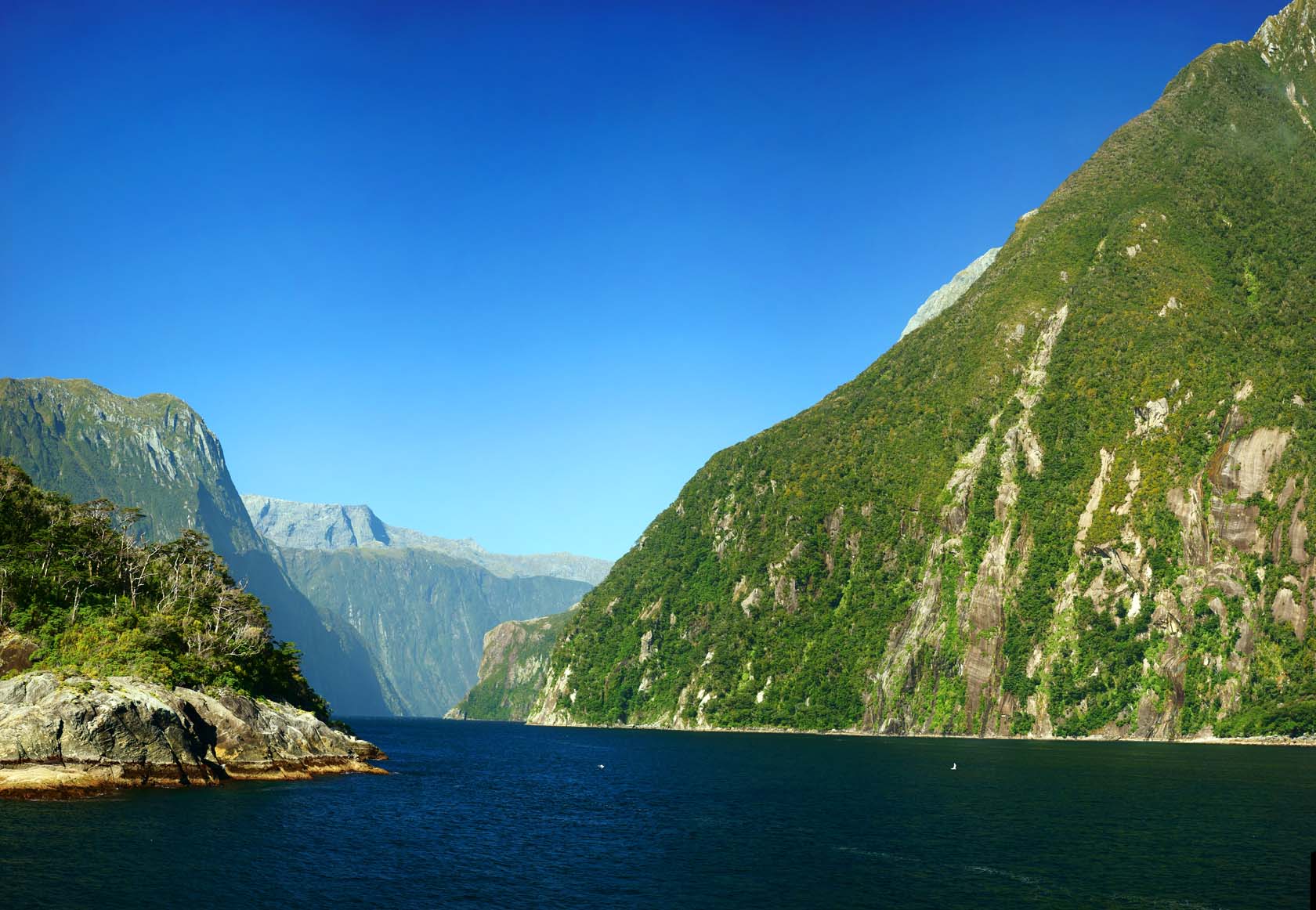 ,,, ,,,Milford Sound, , , , 