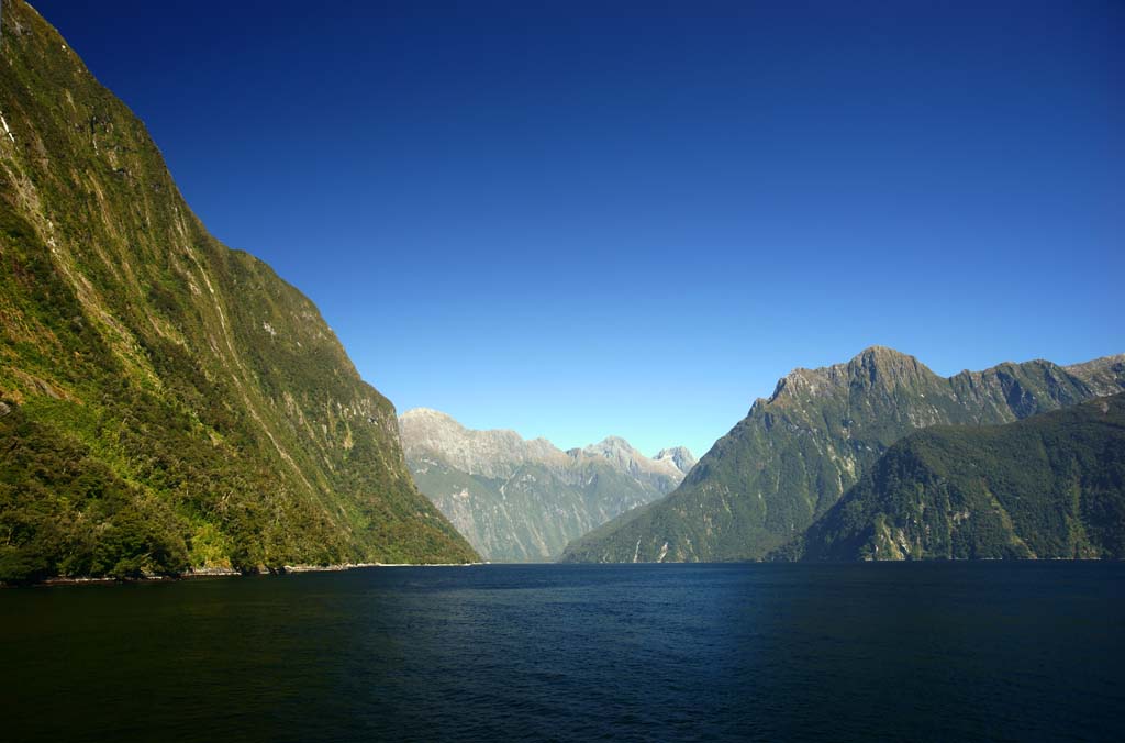 Foto, materieel, vrij, landschap, schilderstuk, bevoorraden foto,Milford Sound, , , , 