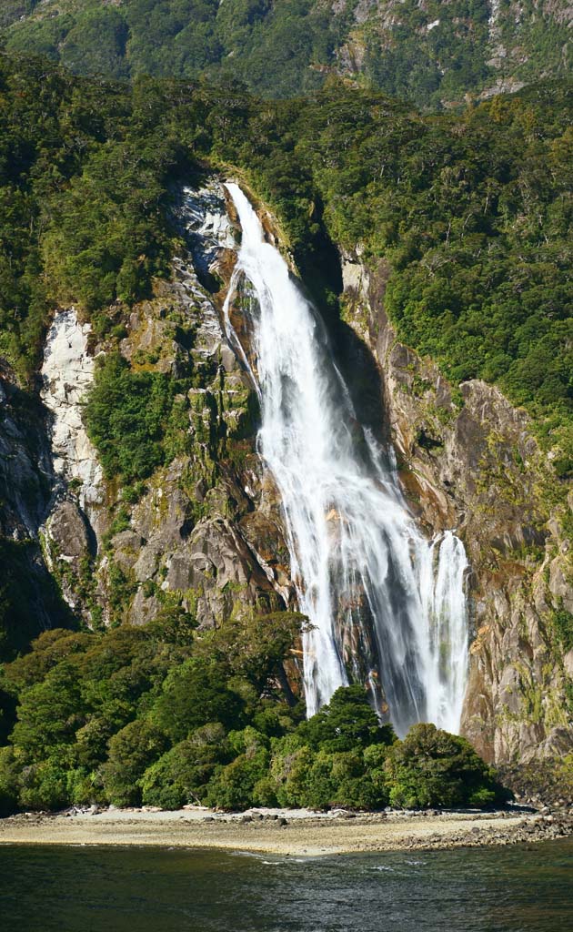 foto,tela,gratis,paisaje,fotografa,idea,Milford Sound, , , , 