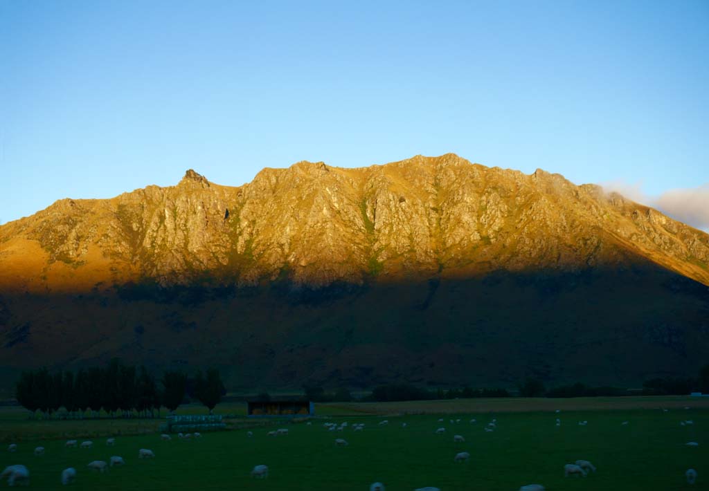 fotografia, materiale, libero il panorama, dipinga, fotografia di scorta,Queenstown, , , , 