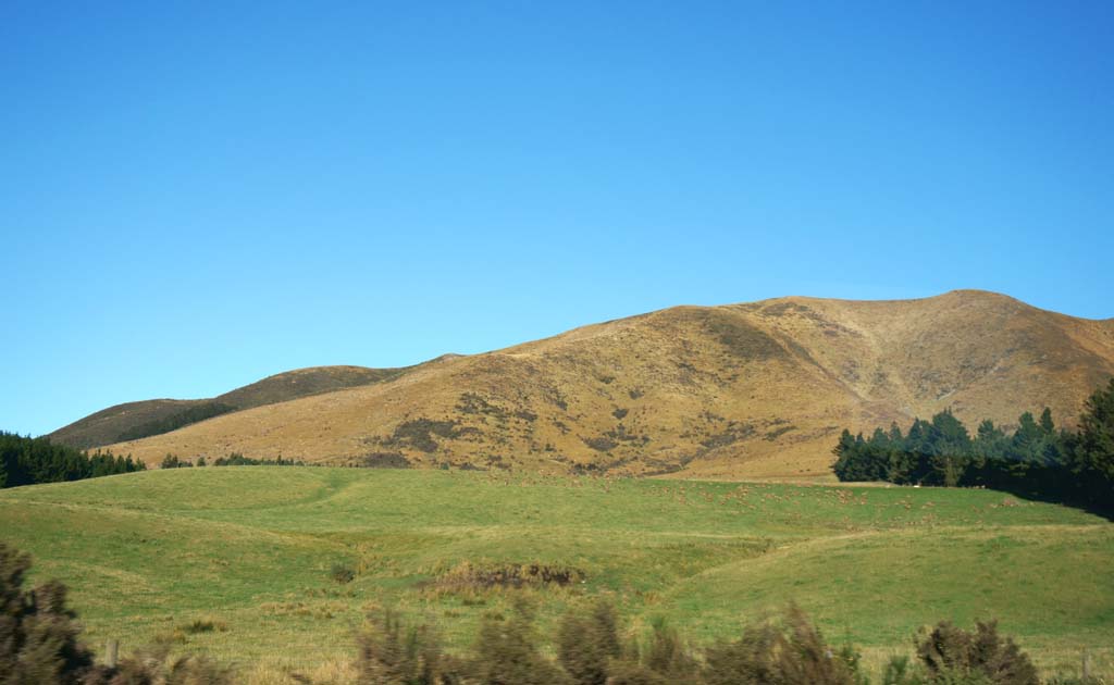 fotografia, materiale, libero il panorama, dipinga, fotografia di scorta,Queenstown, , , , 