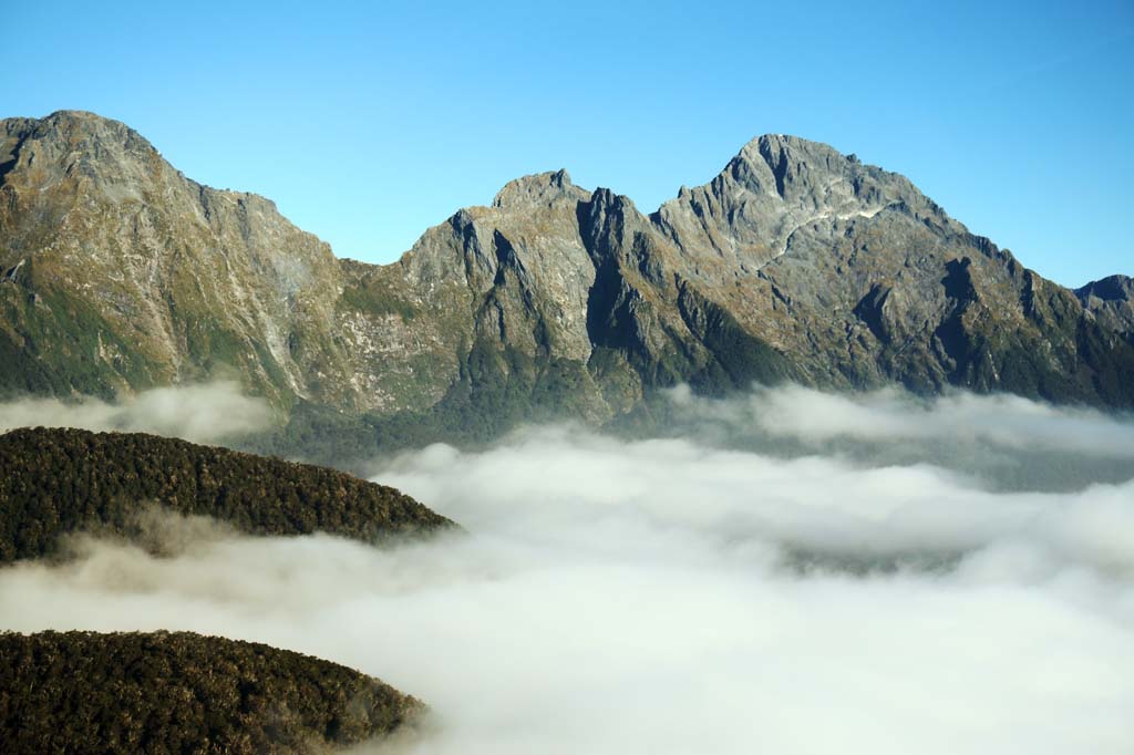 fotografia, materiale, libero il panorama, dipinga, fotografia di scorta,Milford Sound, , , , 