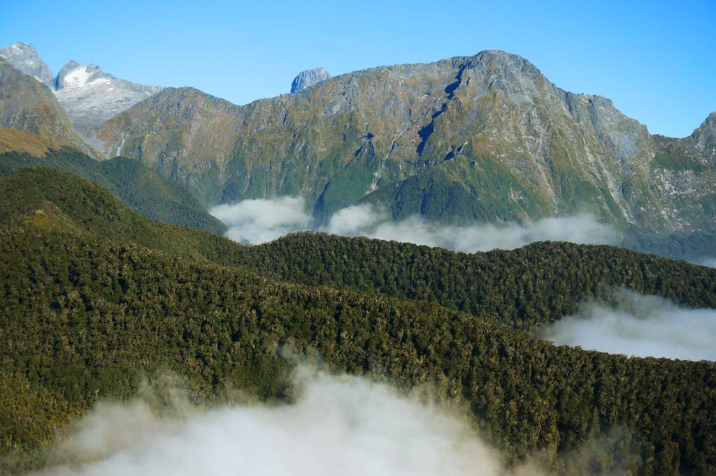 Foto, materiell, befreit, Landschaft, Bild, hat Foto auf Lager,Milford Sound, , , , 