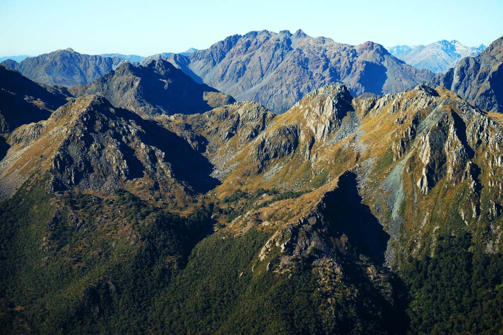 fotografia, materiale, libero il panorama, dipinga, fotografia di scorta,Fiori de terra di montagne, , , , 