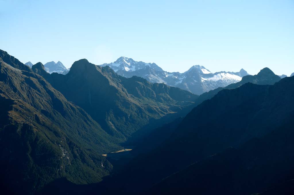 foto,tela,gratis,paisaje,fotografa,idea,Fiori de tierra de las montaas, , , , 