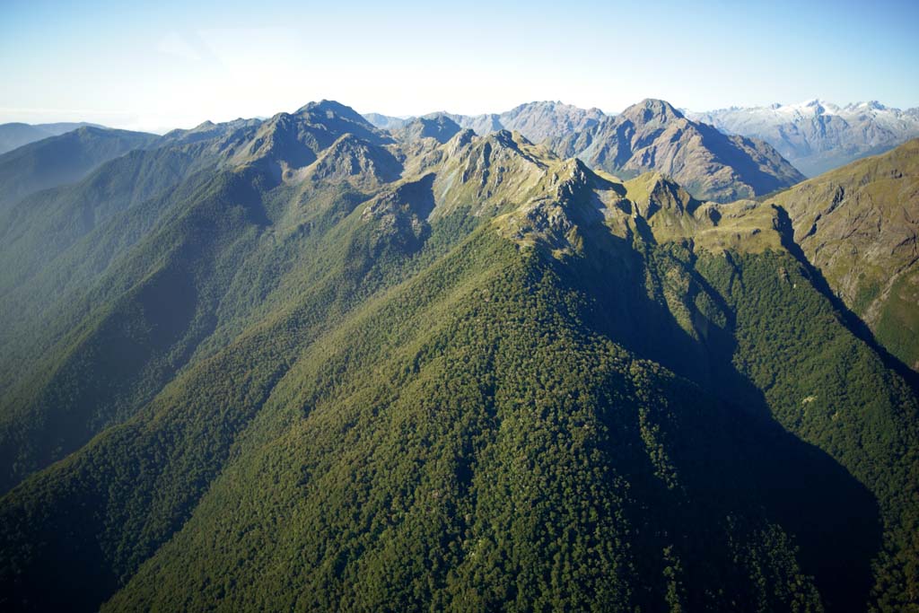 fotografia, materiale, libero il panorama, dipinga, fotografia di scorta,Fiori de terra di montagne, , , , 