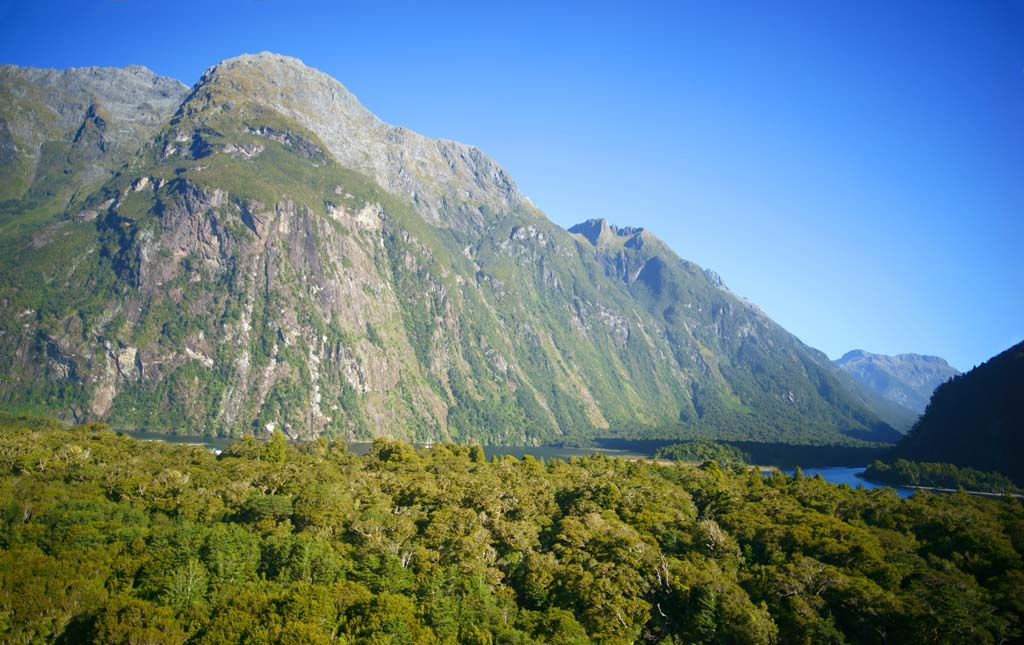 photo, la matire, libre, amnage, dcrivez, photo de la rserve,Milford Sound, , , , 