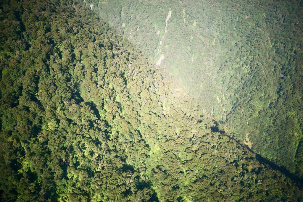 fotografia, materiale, libero il panorama, dipinga, fotografia di scorta,Fiori de terra di montagne, , , , 