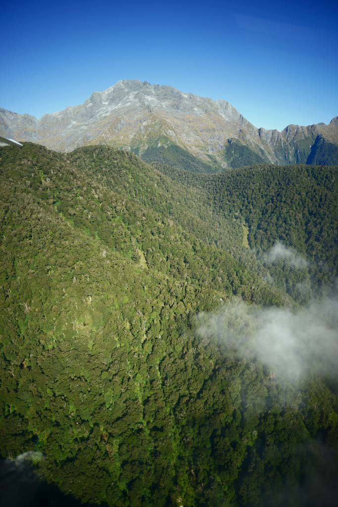 fotografia, materiale, libero il panorama, dipinga, fotografia di scorta,Fiori de terra di montagne, , , , 