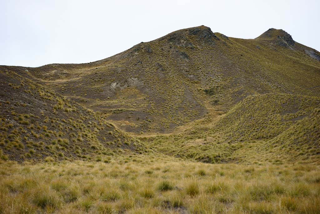 Foto, materieel, vrij, landschap, schilderstuk, bevoorraden foto,Lindis Pass, , , , 