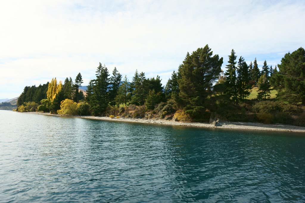 foto,tela,gratis,paisaje,fotografa,idea,Queenstown, , , , 