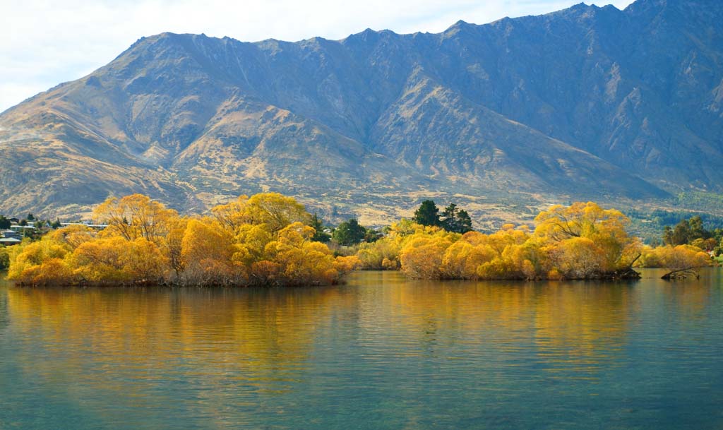 Foto, materieel, vrij, landschap, schilderstuk, bevoorraden foto,In het najaar van Lake Wakatipu, , , , 