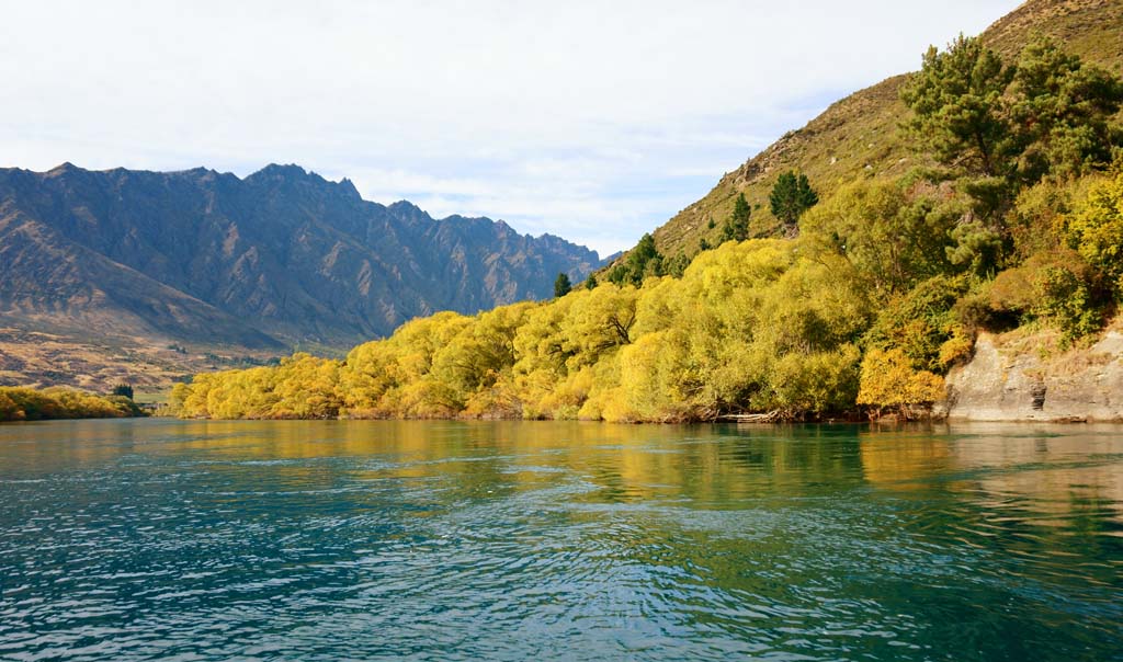 fotografia, materiale, libero il panorama, dipinga, fotografia di scorta,Queenstown, , , , 