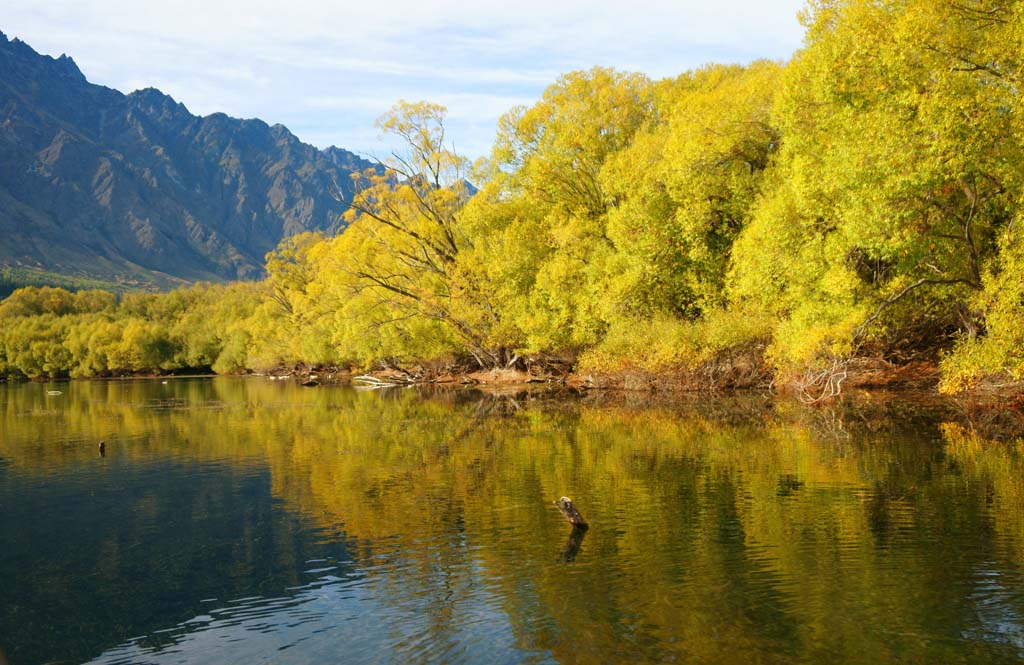 fotografia, materiale, libero il panorama, dipinga, fotografia di scorta,Queenstown, , , , 