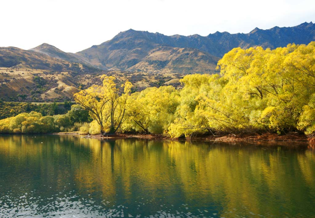 Foto, materiell, befreit, Landschaft, Bild, hat Foto auf Lager,Queenstown, , , , 