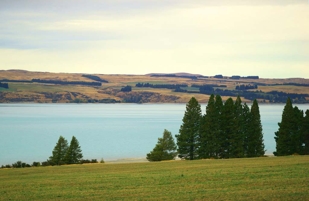 Foto, materiell, befreit, Landschaft, Bild, hat Foto auf Lager,Lake Pukaki, , , , 