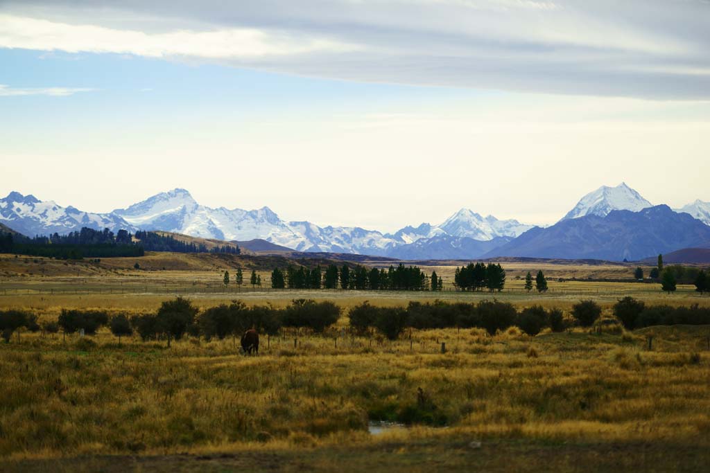 Foto, materieel, vrij, landschap, schilderstuk, bevoorraden foto,Mount Cook, , , , 