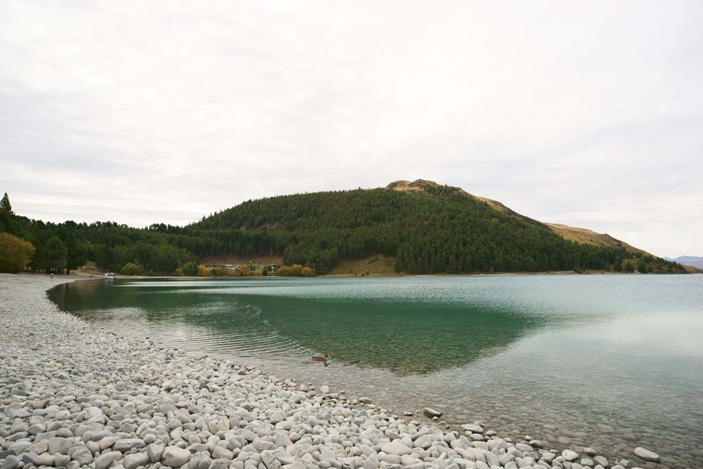 Foto, materieel, vrij, landschap, schilderstuk, bevoorraden foto,Lake Tekapo, , , , 