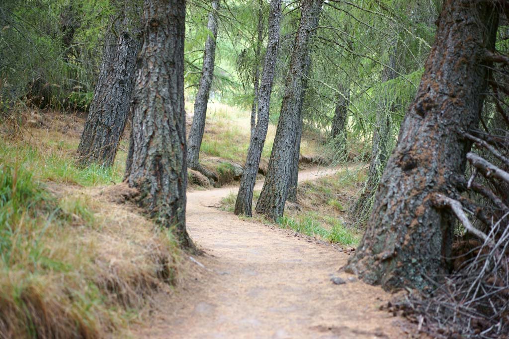 photo,material,free,landscape,picture,stock photo,Creative Commons,Mountain trail, , , , 