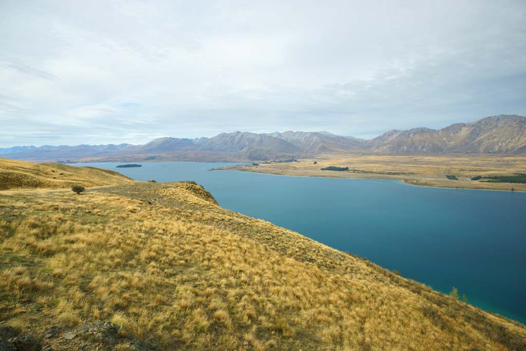 fotografia, materiale, libero il panorama, dipinga, fotografia di scorta,Lago Tekapo, , , , 