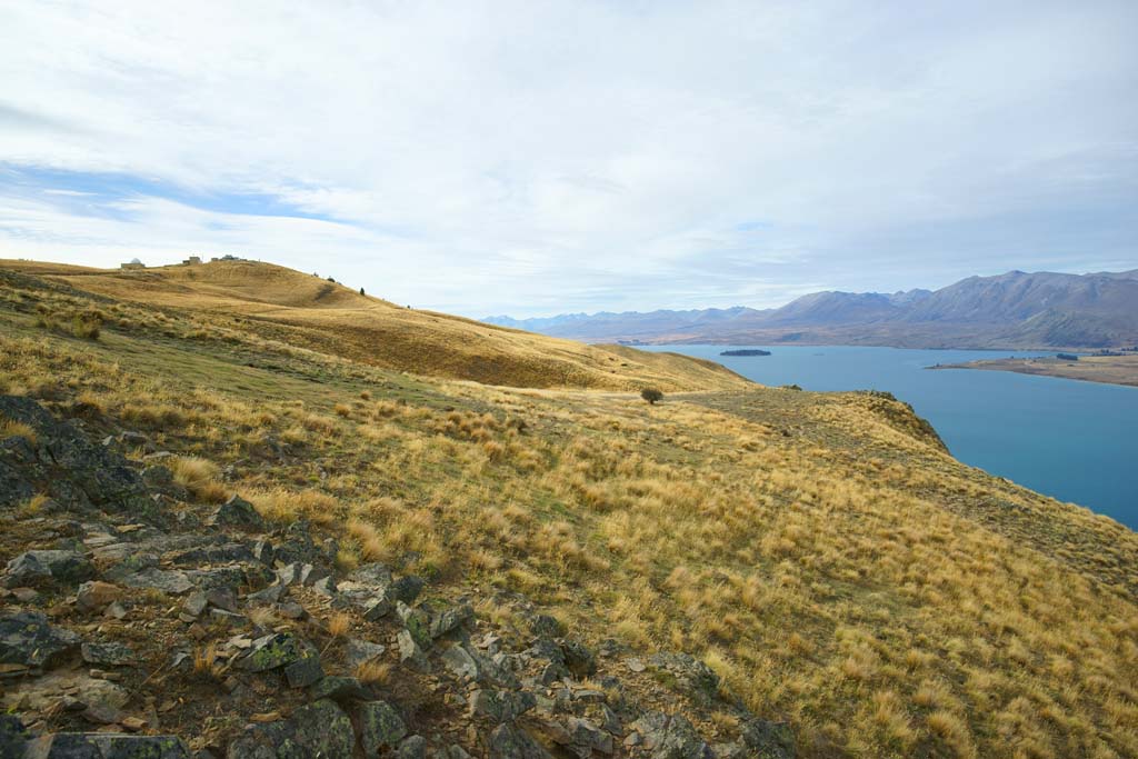 Foto, materiell, befreit, Landschaft, Bild, hat Foto auf Lager,Lake Tekapo, , , , 