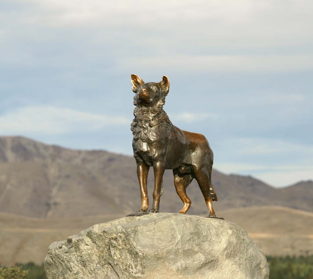 foto,tela,gratis,paisaje,fotografa,idea,Perro Pastor, , , , 