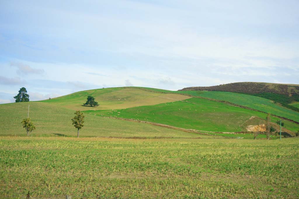 Foto, materieel, vrij, landschap, schilderstuk, bevoorraden foto,Ranch, , , , 