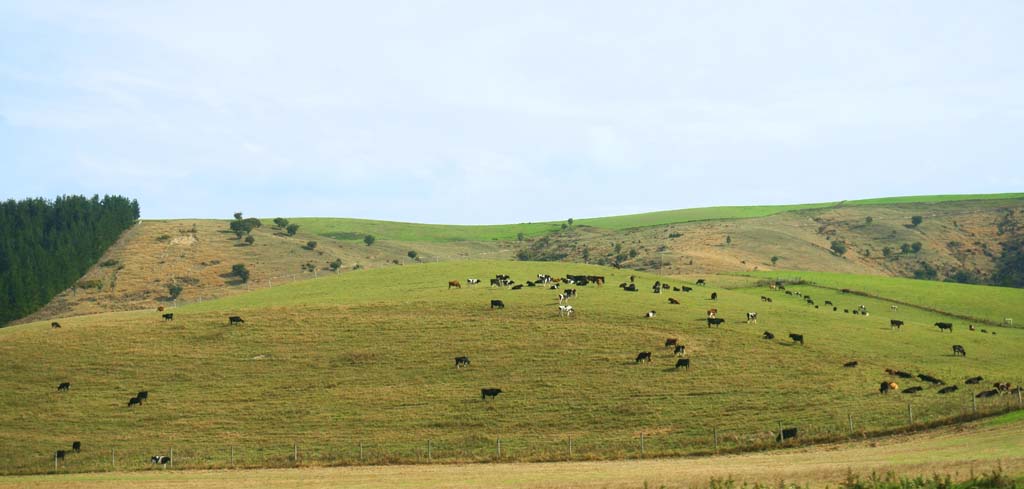 Foto, materieel, vrij, landschap, schilderstuk, bevoorraden foto,Ranch, , , , 