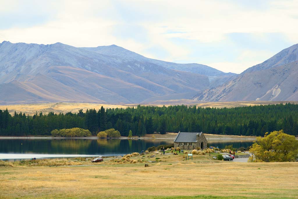 fotografia, material, livra, ajardine, imagine, proveja fotografia,Lago Tekapo, , , , 