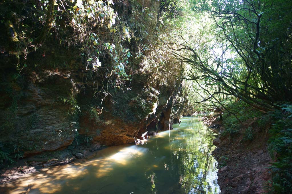 Foto, materiell, befreit, Landschaft, Bild, hat Foto auf Lager,Die Waitomo Glhwrmchen Hhlen, , , , 