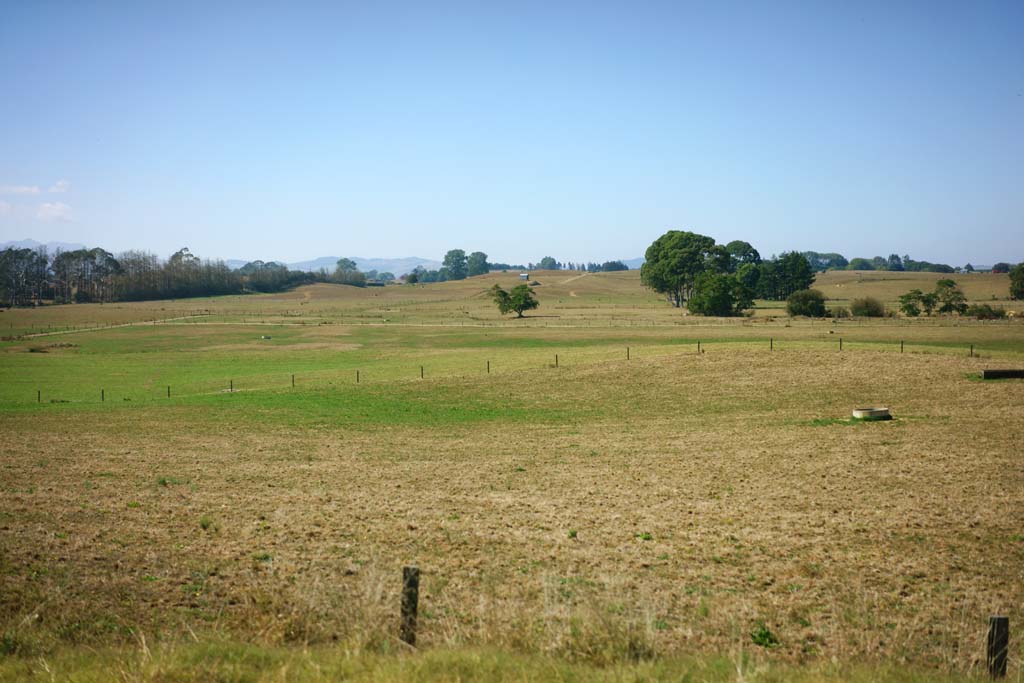 Foto, materieel, vrij, landschap, schilderstuk, bevoorraden foto,Ranch, , , , 