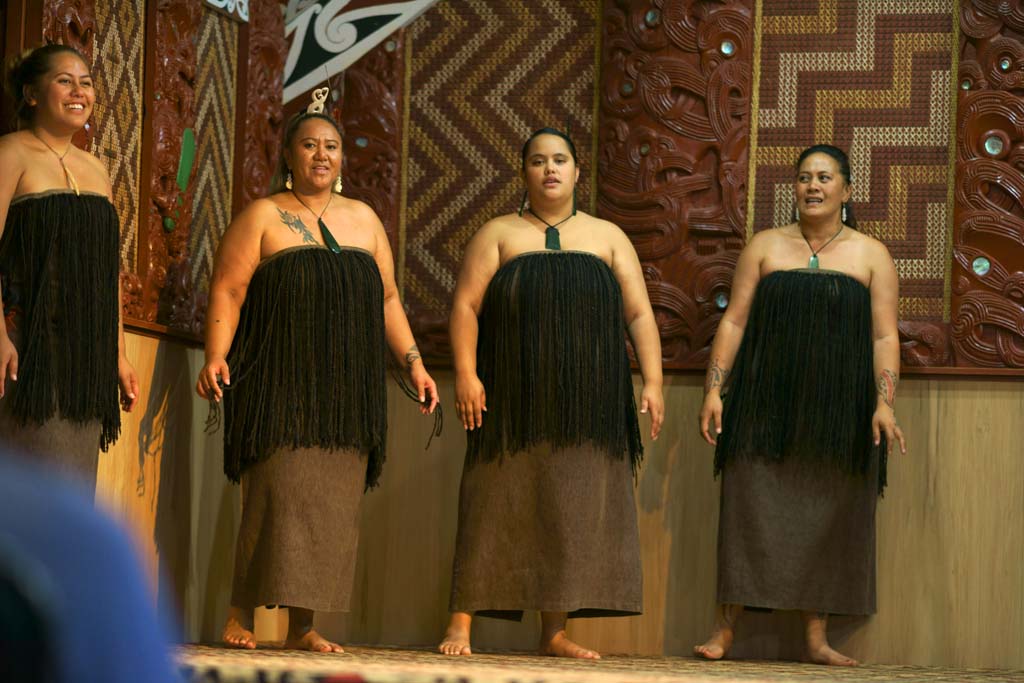 fotografia, material, livra, ajardine, imagine, proveja fotografia,Maori, , , , 