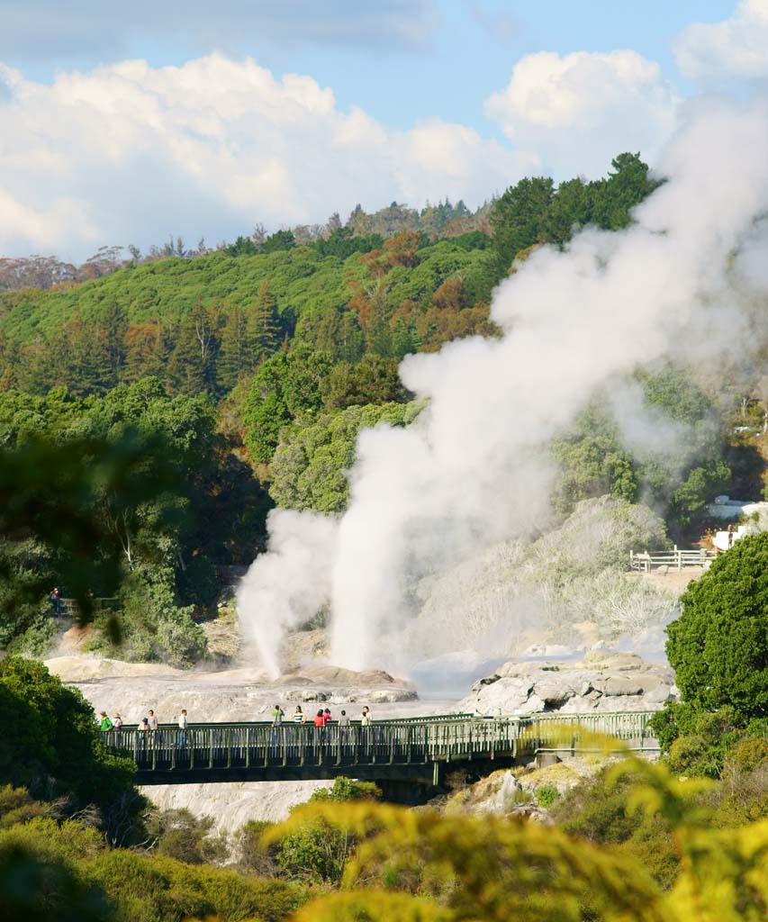 Foto, materieel, vrij, landschap, schilderstuk, bevoorraden foto,Geyser Pohutu Geyser, , , , 