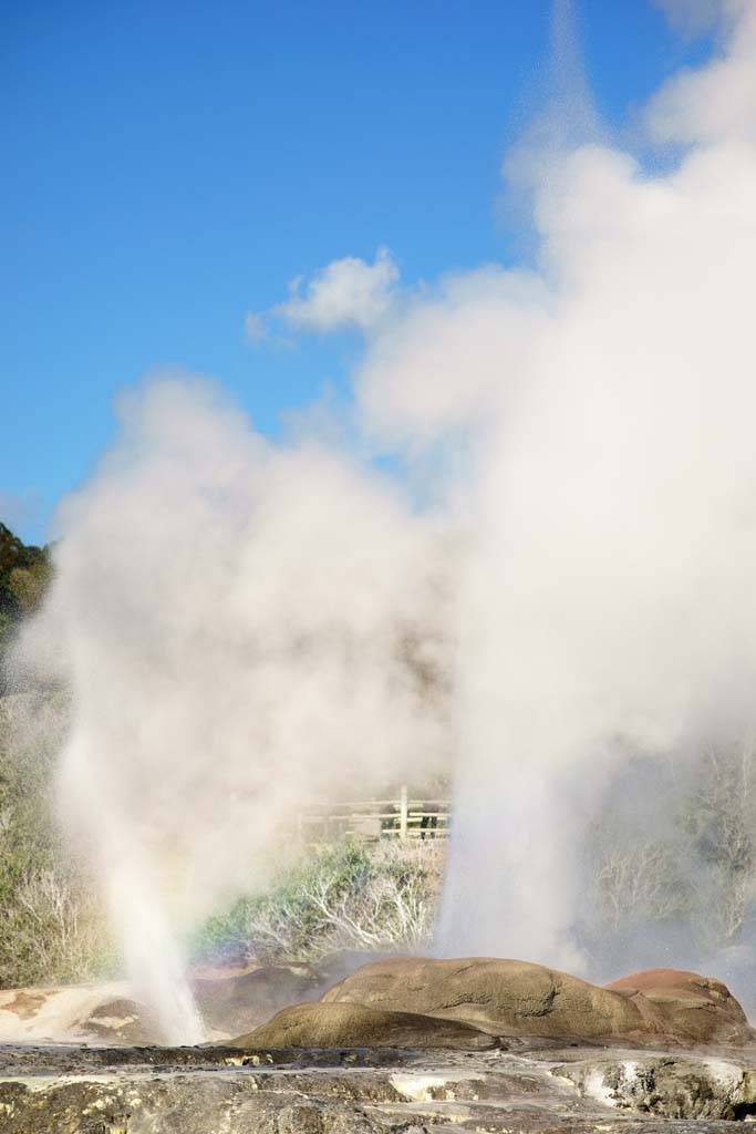 Foto, materieel, vrij, landschap, schilderstuk, bevoorraden foto,Geyser Pohutu Geyser, , , , 