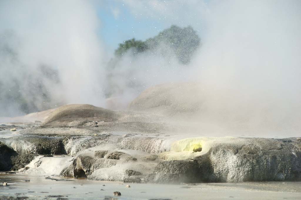 Foto, materieel, vrij, landschap, schilderstuk, bevoorraden foto,Geyser Pohutu Geyser, , , , 