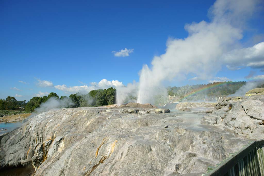 Foto, materieel, vrij, landschap, schilderstuk, bevoorraden foto,Geyser Pohutu Geyser, , , , 