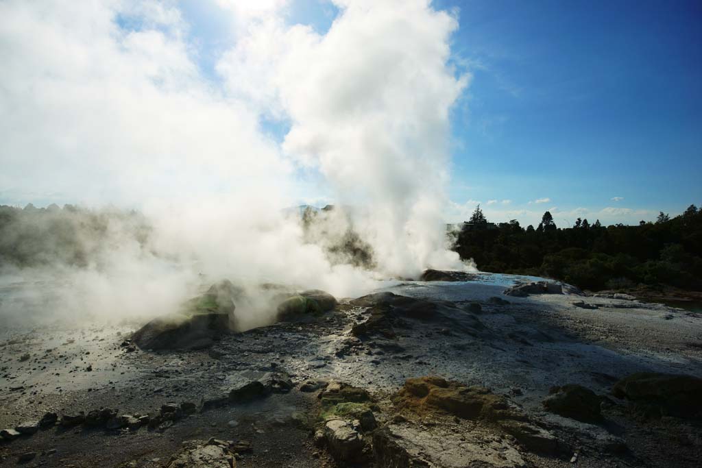 fotografia, materiale, libero il panorama, dipinga, fotografia di scorta,Geyser Pohutu Geyser, , , , 