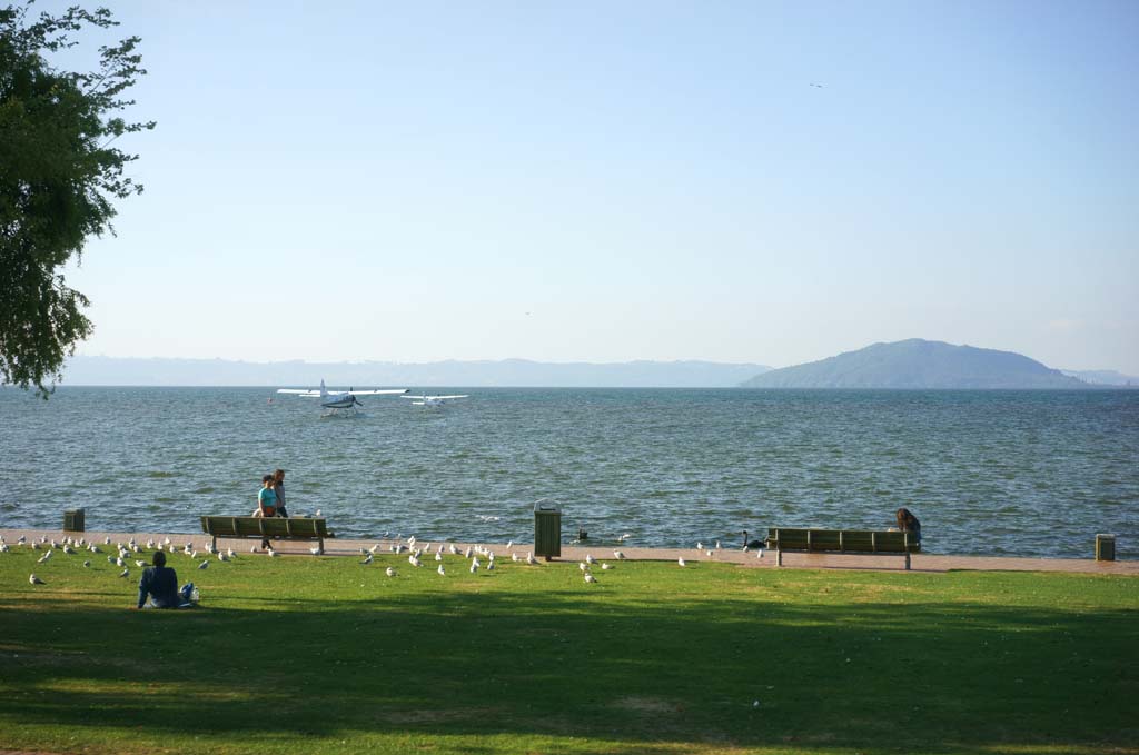 fotografia, materiale, libero il panorama, dipinga, fotografia di scorta,Il lago di Rotorua, , , , 