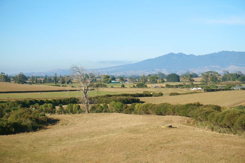 Foto, materieel, vrij, landschap, schilderstuk, bevoorraden foto,Ranch, , , , 