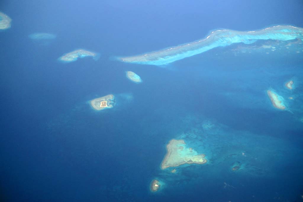 Foto, materieel, vrij, landschap, schilderstuk, bevoorraden foto,Nieuw Caledoni Coral, , , , 