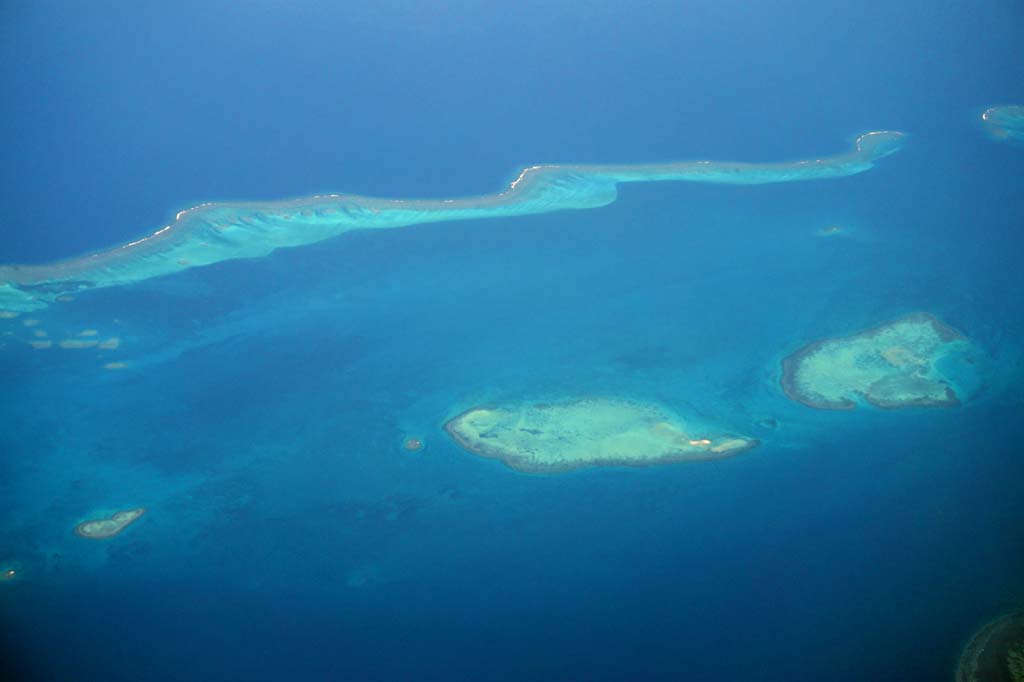 photo,material,free,landscape,picture,stock photo,Creative Commons,New Caledonia Coral, , , , 