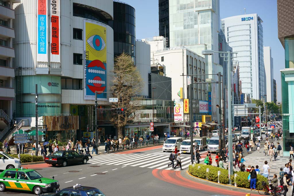 Foto, materieel, vrij, landschap, schilderstuk, bevoorraden foto,Harajuku Omotesando, , , , 