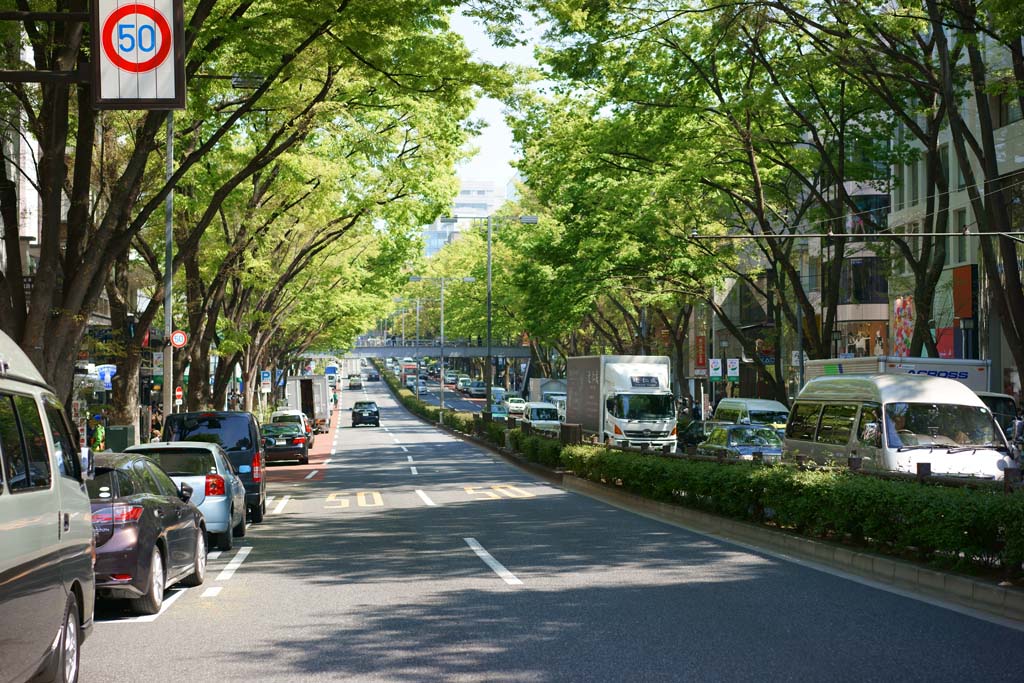 Foto, materiell, befreit, Landschaft, Bild, hat Foto auf Lager,Harajuku Omotesando, , , , 