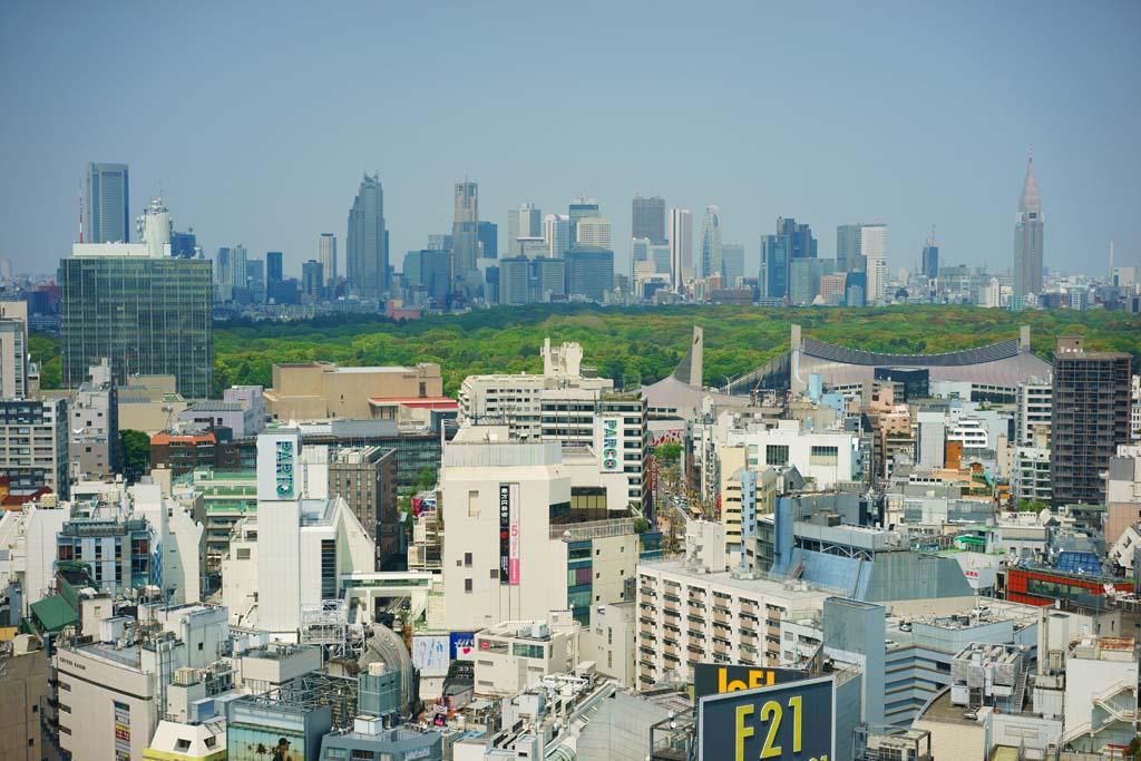 foto,tela,gratis,paisaje,fotografa,idea,Shibuya, , , , 