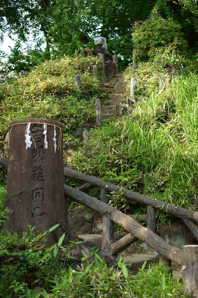 fotografia, materiale, libero il panorama, dipinga, fotografia di scorta,Il Sendagaya Fujidzuka, , , , 