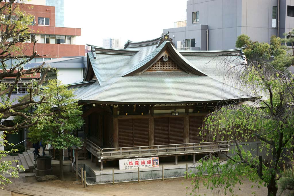 photo,material,free,landscape,picture,stock photo,Creative Commons,Hatomori Hachiman Shrine, , , , 